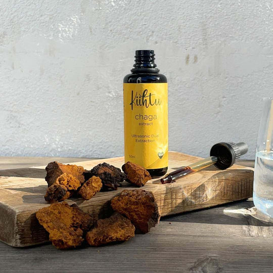 Kiihtu Chaga Mushroom extract bottle placed next to raw chaga pieces and shown simply being added to a glass of water 