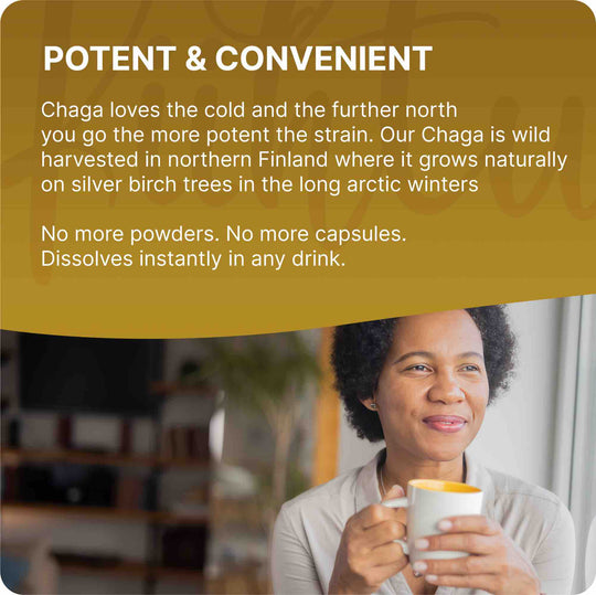 Kiihtu Chaga Extract Infographic showing it is wild harvested chaga from Finland